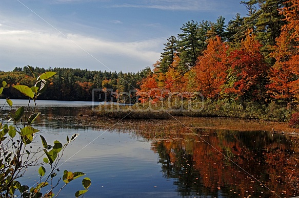 Lake In Autumn