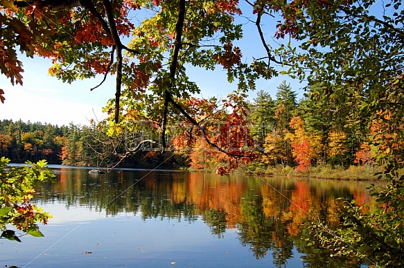 Lake In Autumn