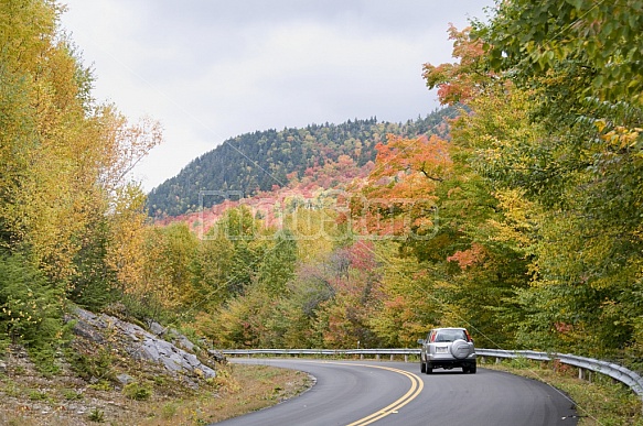 Scenic Roadway