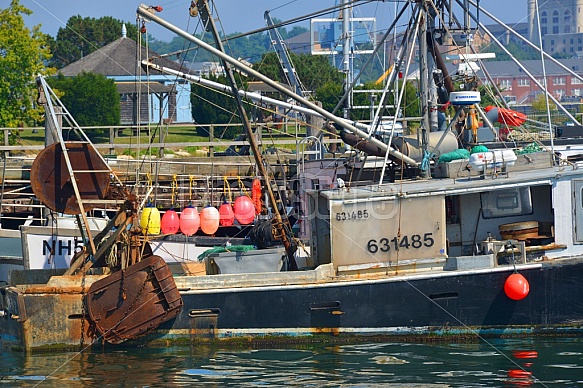 Fishing Boats